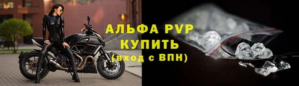 стафф Белокуриха