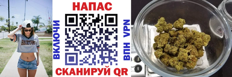 МАРИХУАНА сатива  Шагонар 